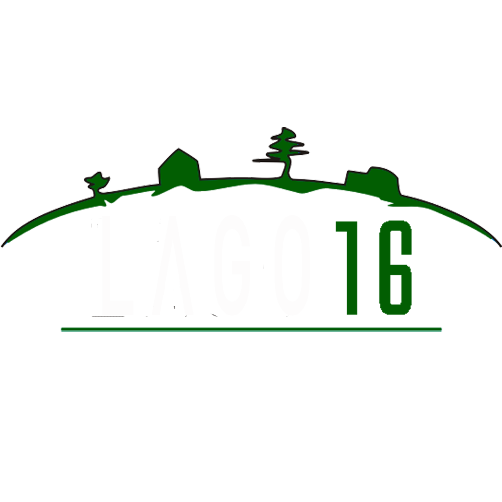 LAGO16 construccion 250
